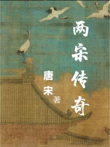 两宋风云简介 两宋风云简介