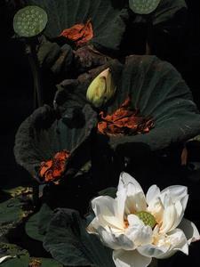 转入尖子班的日常博主 转入尖子班的日常博主