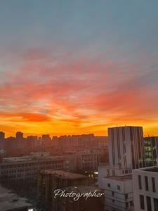 女帝最后怎么了 女帝最后怎么了