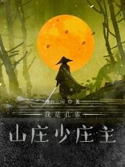 孔雀山庄武功 孔雀山庄武功
