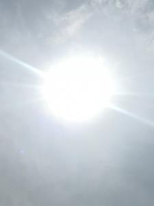 谢家子弟典故的含义 谢家子弟典故的含义